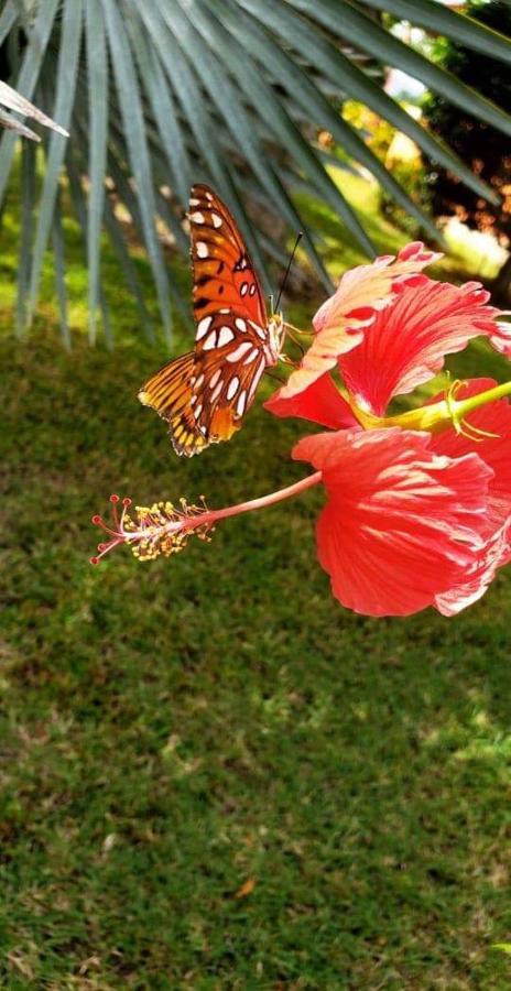 Villas Guanacaste โปเตรโร ภายนอก รูปภาพ
